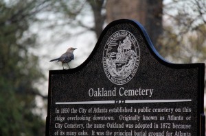 Oakland-historic-marker-1024x682 2