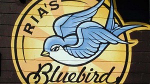 bluebird