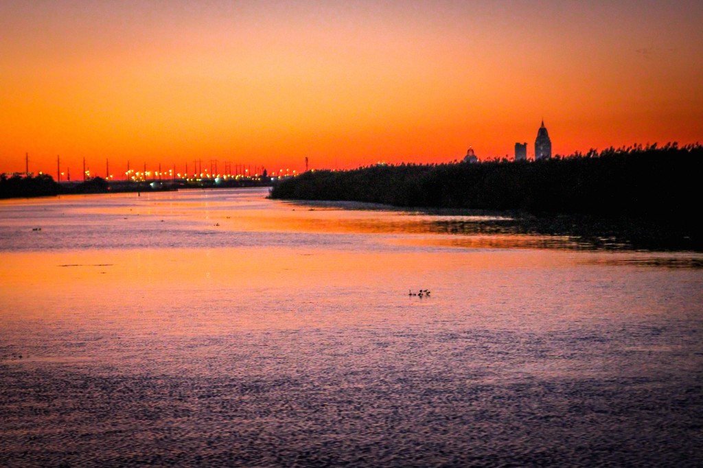 Mobile Skyline from Mobile Bay, photo by Mary Gabbett